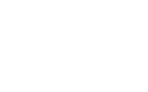 AlphaOne wolf logo